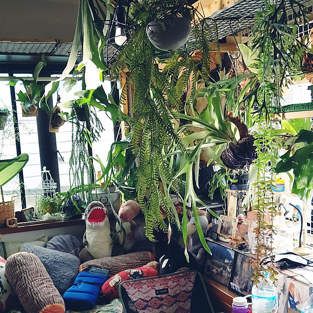 mikiさんの実例写真