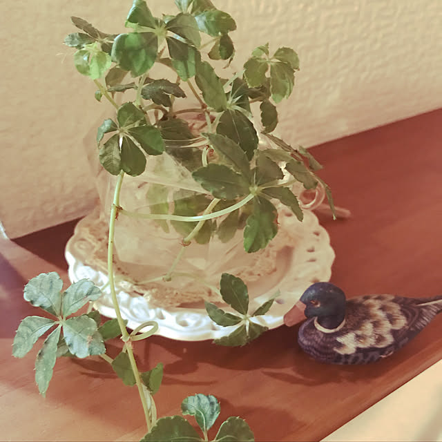 noharaさんの実例写真