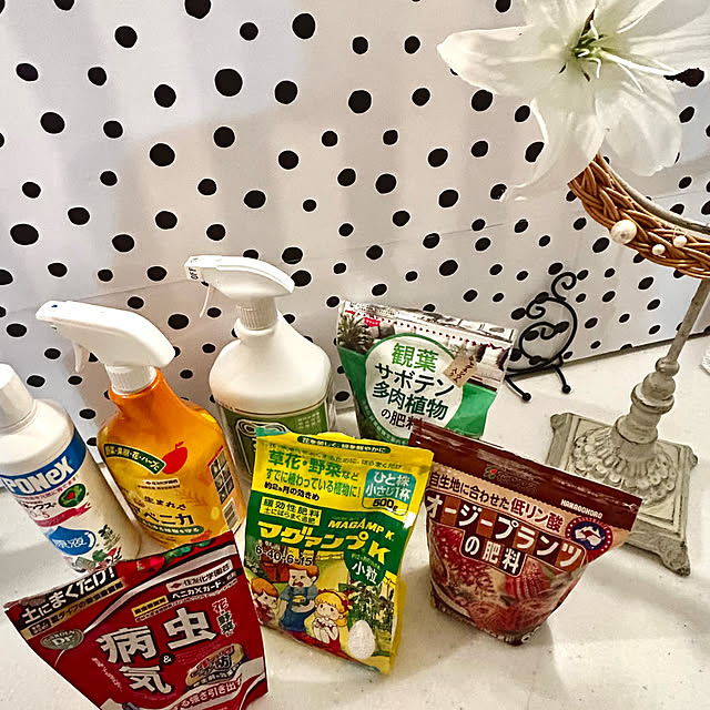kittyさんの部屋
