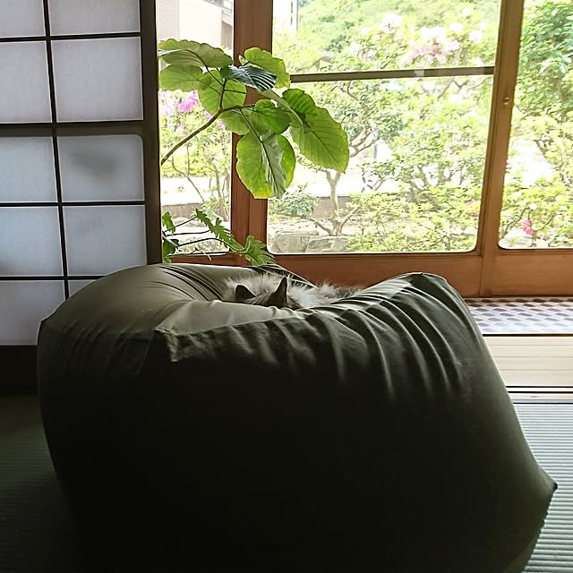 coffee-groundsさんの実例写真