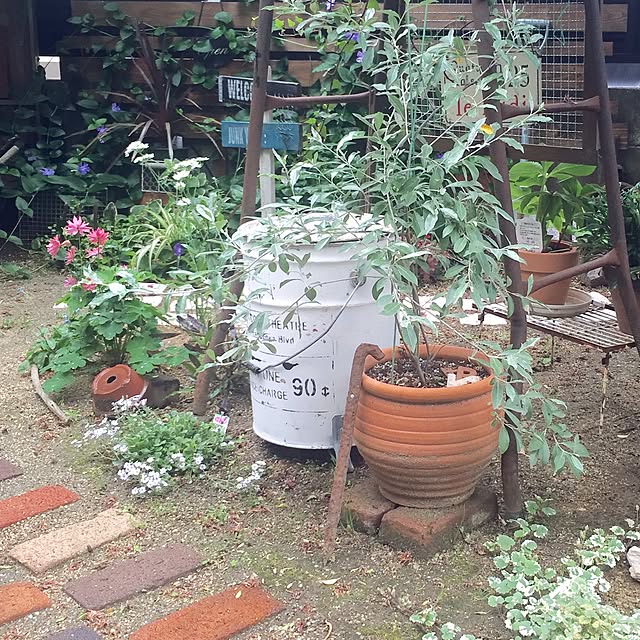 bibianさんの実例写真