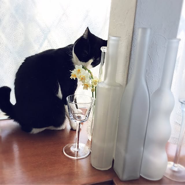 hiyo.pietさんの実例写真