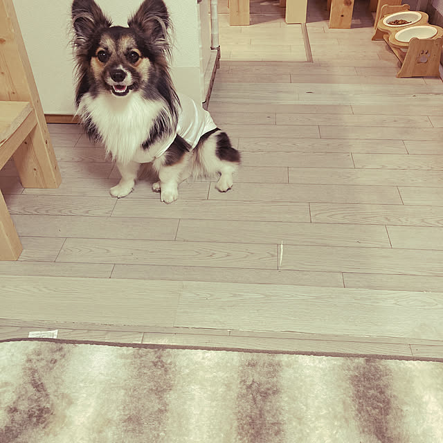 tonkoさんの実例写真