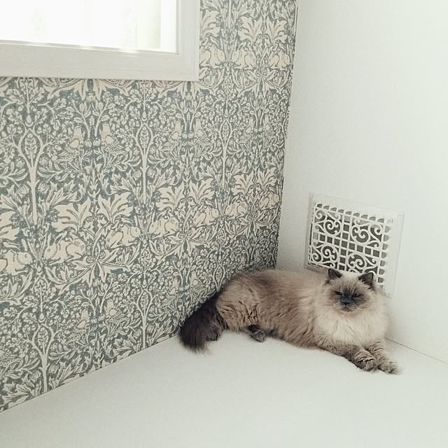 yuchiさんの実例写真