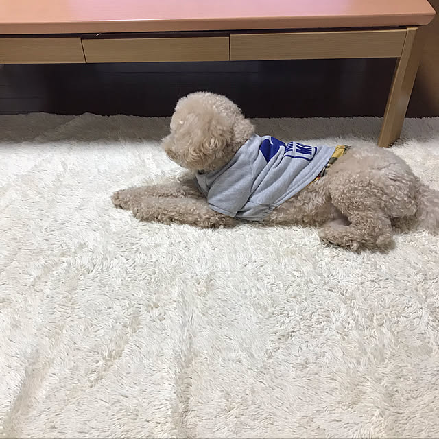 yuki89さんの実例写真