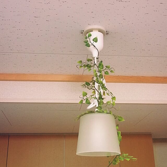 haruさんの実例写真