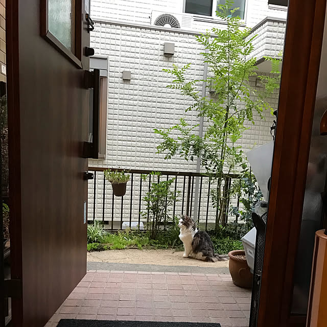 masakoさんの実例写真