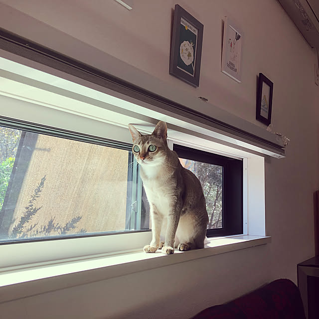 ACEさんの実例写真
