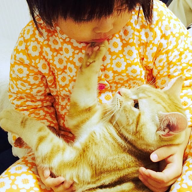 25abucoさんの実例写真