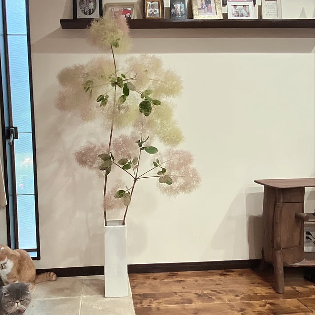 shizzzさんの実例写真