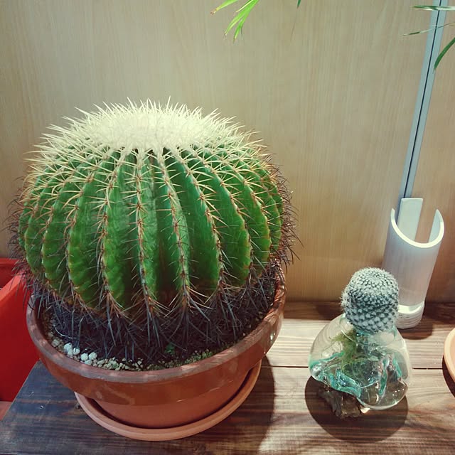 hiro9900さんの実例写真