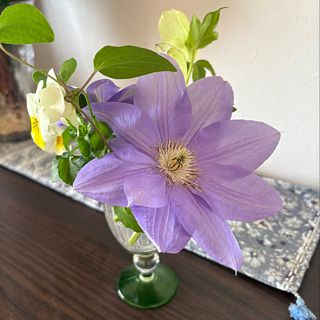 mikiさんの実例写真