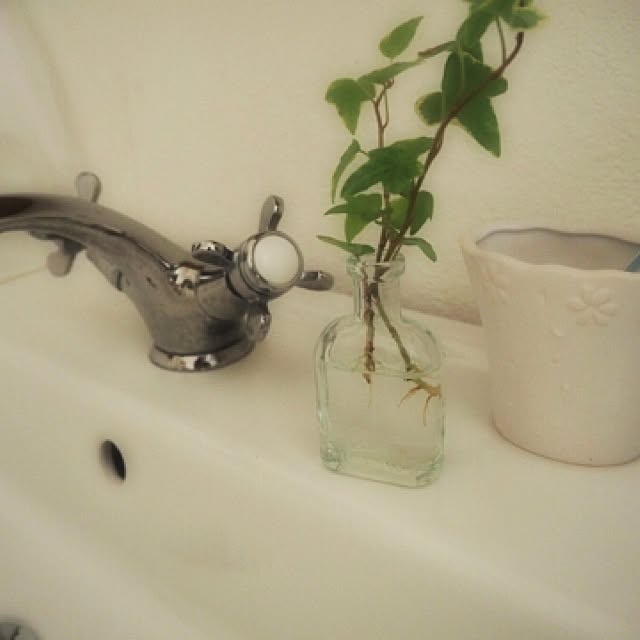 maronさんの実例写真