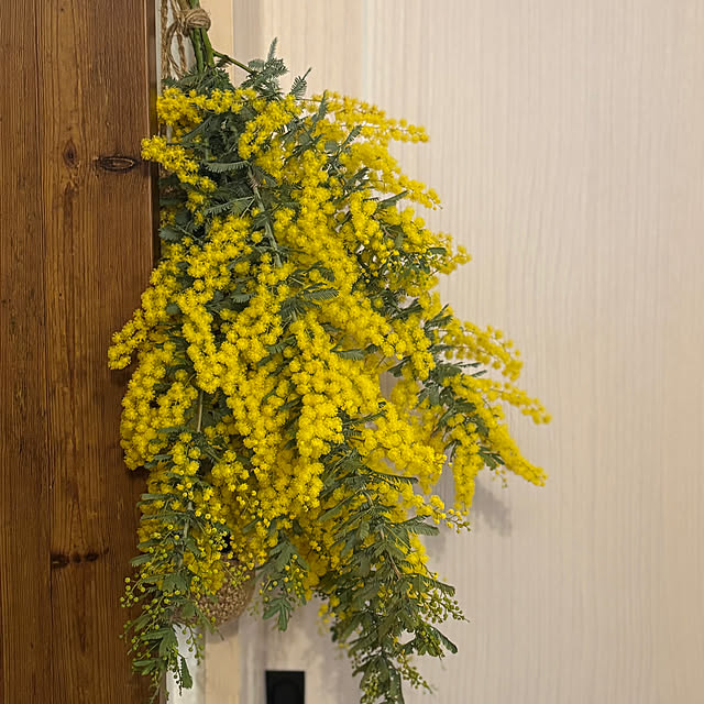 mameshibaさんの部屋