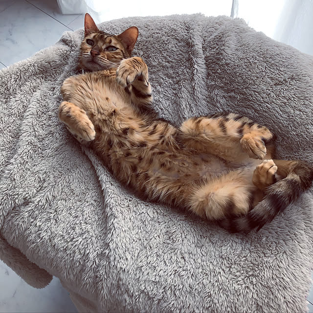iranさんの実例写真