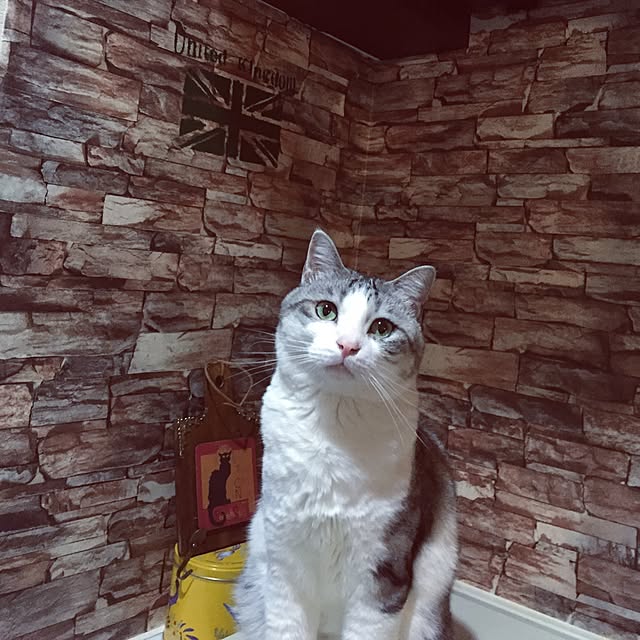 emmyyさんの実例写真
