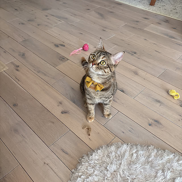 miyu39さんの部屋