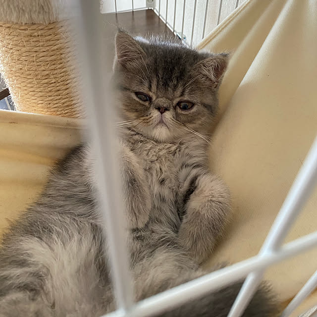 shizzzさんの実例写真