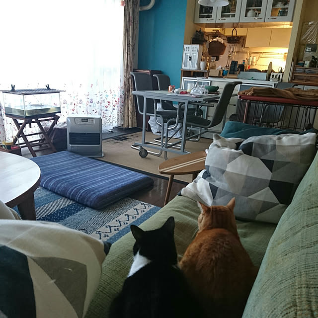 okyosan101さんの実例写真