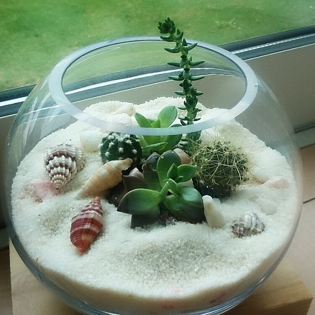 実例写真