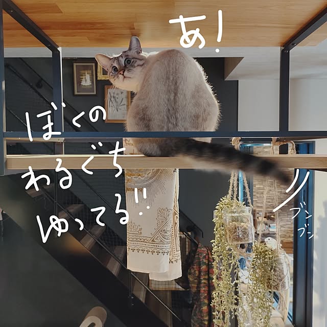 Atelier_tamakiさんの部屋