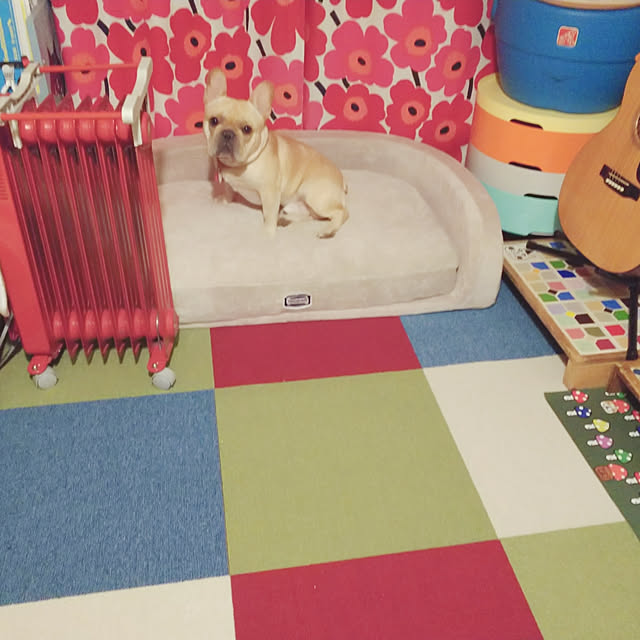 ayucchiさんの実例写真