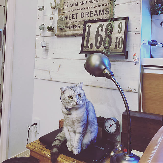 yokkochanさんの実例写真
