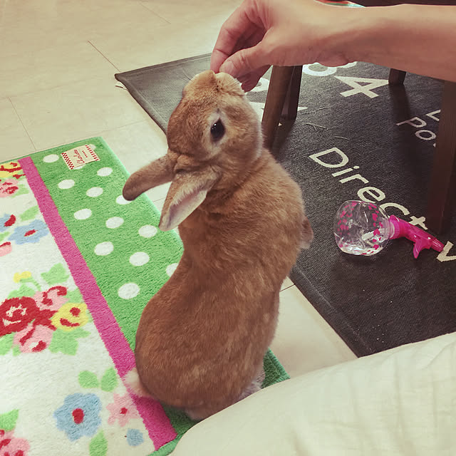 Yasuyukiさんの実例写真