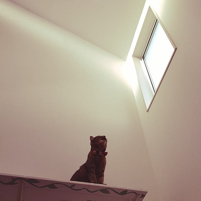 naonamiさんの実例写真