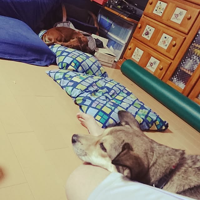 andさんの実例写真