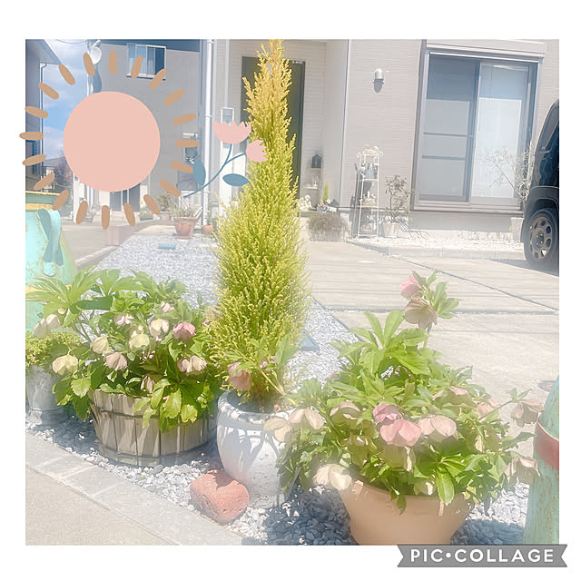 akiko-ovさんの部屋