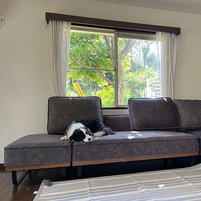 ClaraFactoryさんの部屋