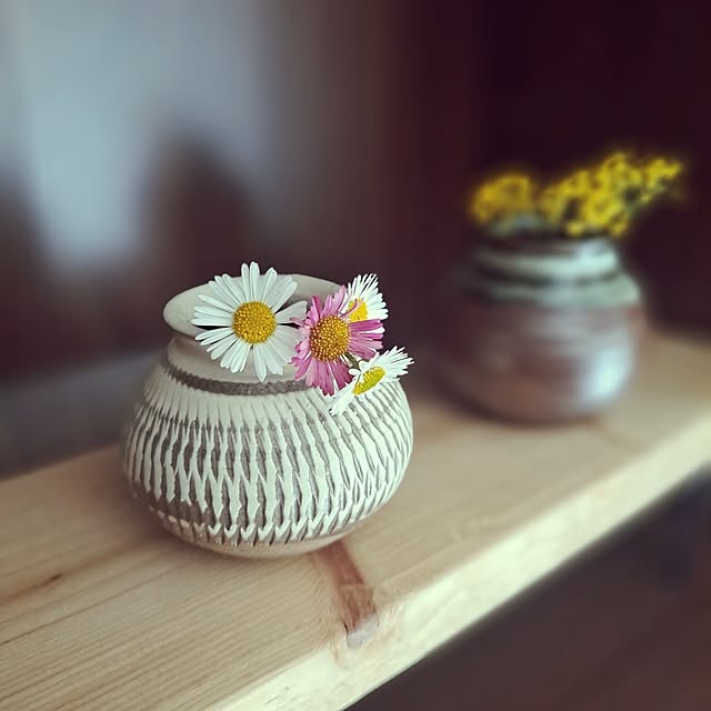 sakura_3さんの部屋