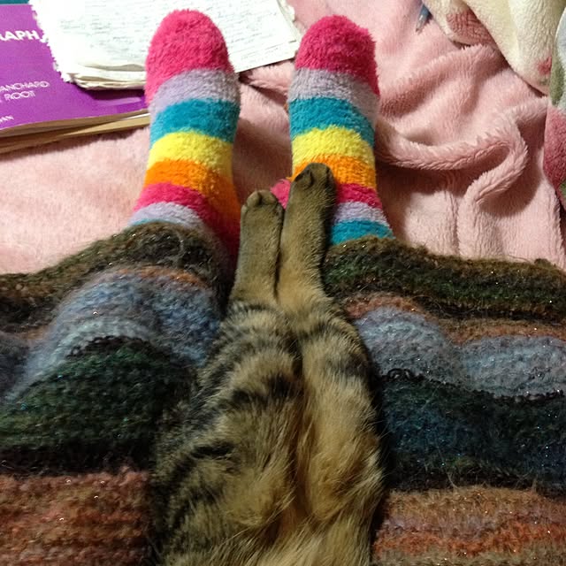 mayaさんの実例写真