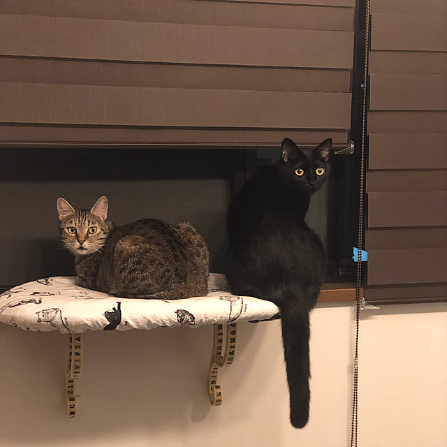BTGさんの実例写真