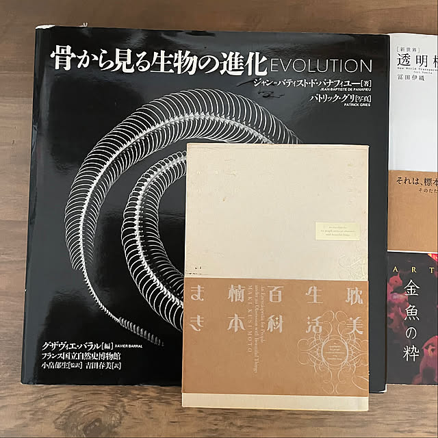 daifuku3yadeさんの部屋
