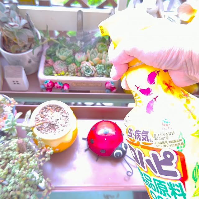 mariaさんの実例写真