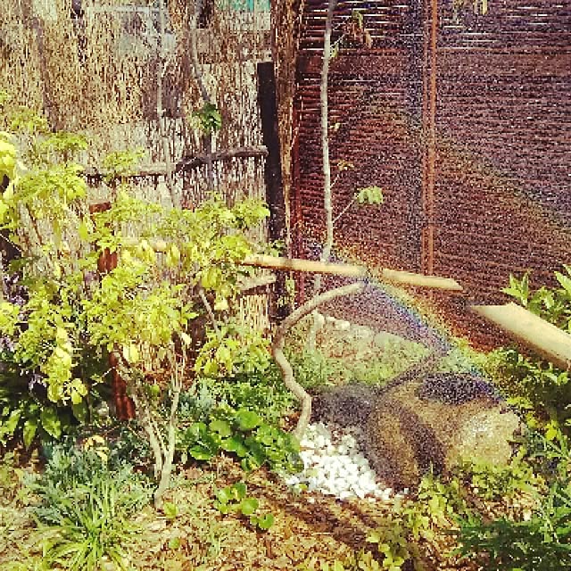 aiさんの実例写真