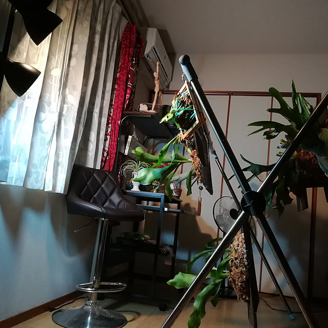 brooklynさんの実例写真