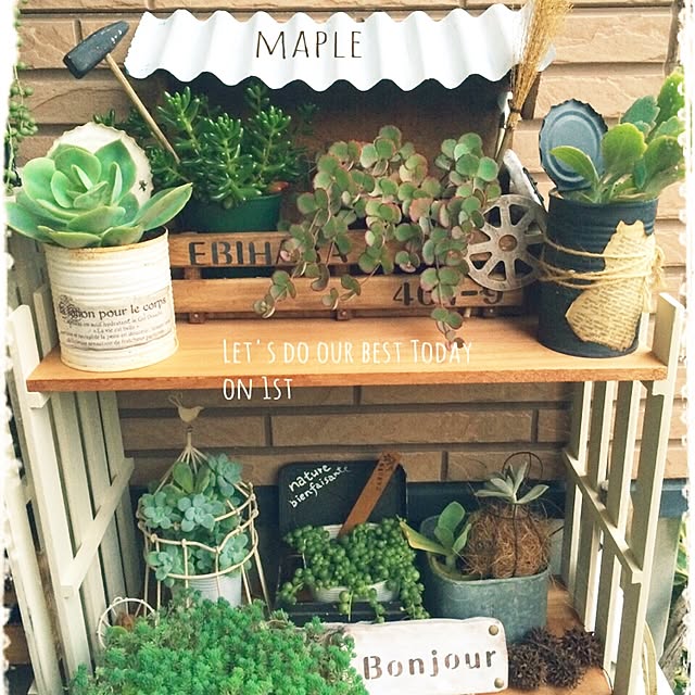 mapleさんの実例写真
