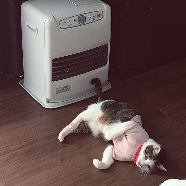 HomeSweetHomeさんの実例写真