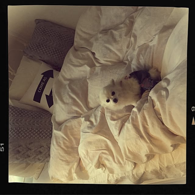 Ayaさんの実例写真