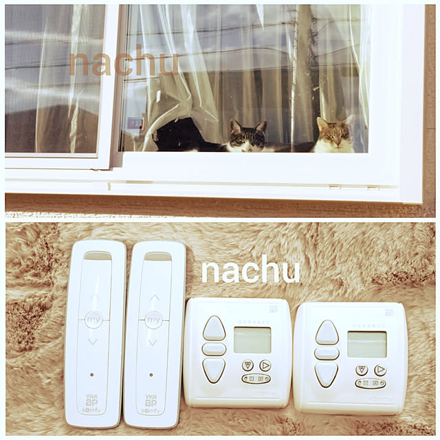 nachuさんの実例写真