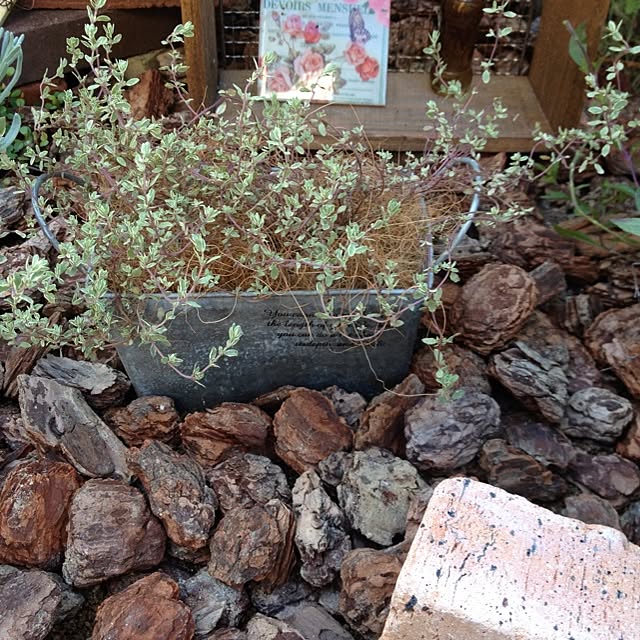 naberiさんの実例写真