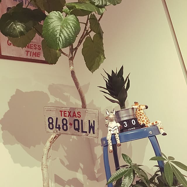 sunrise.houseさんの実例写真