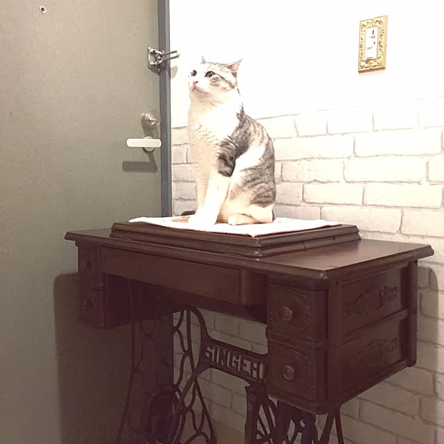 emmyyさんの実例写真