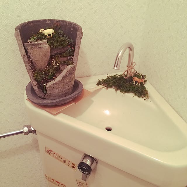 namatyaさんの実例写真