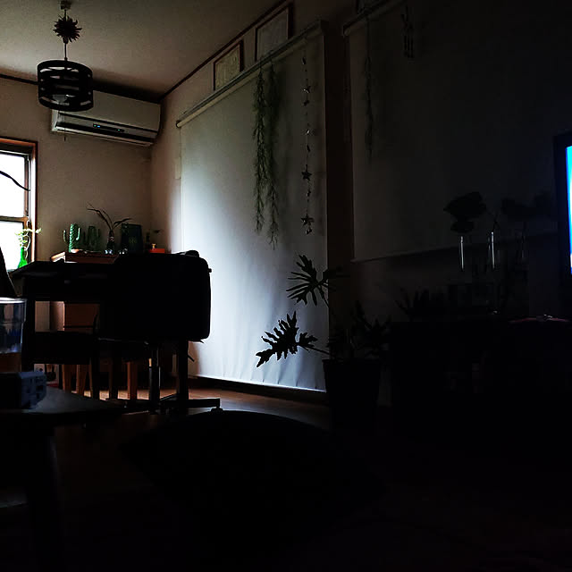 mikoさんの実例写真