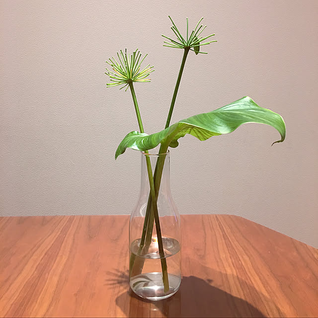 um3さんの実例写真