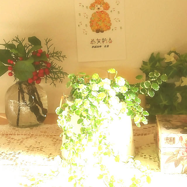 moku2さんの実例写真
